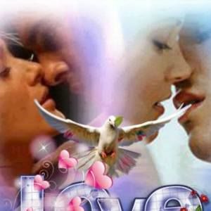 Meet your Posher, Zvonko